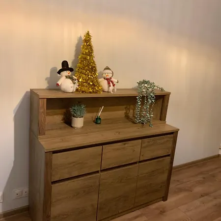 Apartament śródmieście Lowecka21 *