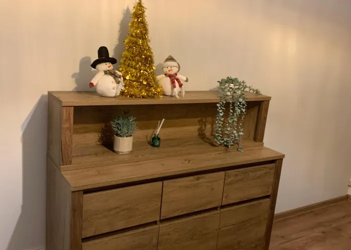 Apartament śródmieście Lowecka21 *