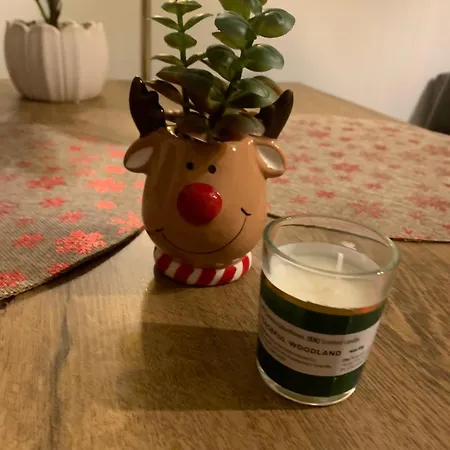 Srodmiescie Lowecka21 Διαμέρισμα Βρότσλαβ