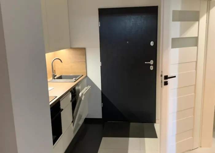 Apartamento śródmieście Lowecka21 *